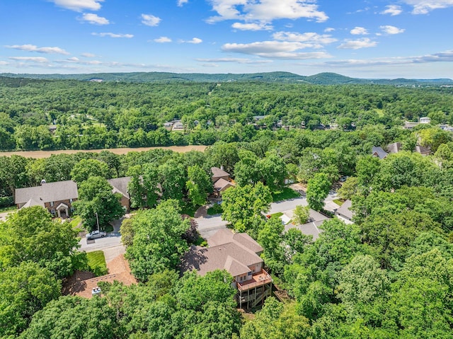 261 Country Bluff Dr, Branson, MO 65616 - drone / aerial view of a forest