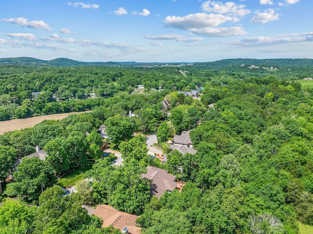 261 Country Bluff Dr, Branson, MO 65616 - drone / aerial view of a forest