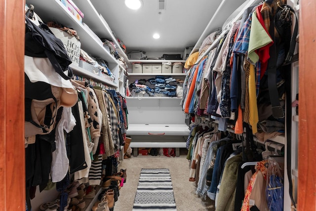 261 Country Bluff Dr, Branson, MO 65616 - spacious closet with carpet