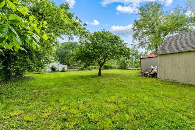 537 S Jefferson Ave, Aurora, MO 65605 - view of grassy yard with an outbuilding