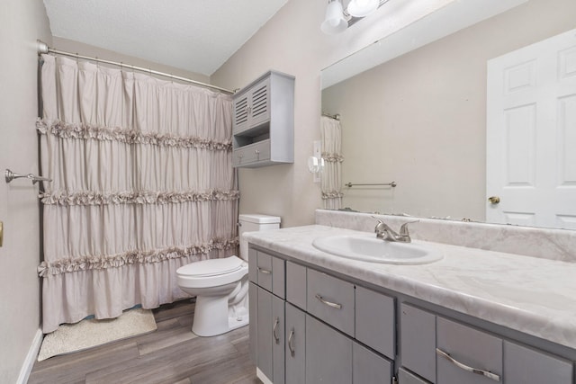 127 Wilson Way, Marshfield, MO 65706 - full bath featuring toilet, wood finished floors, vanity, and curtained shower