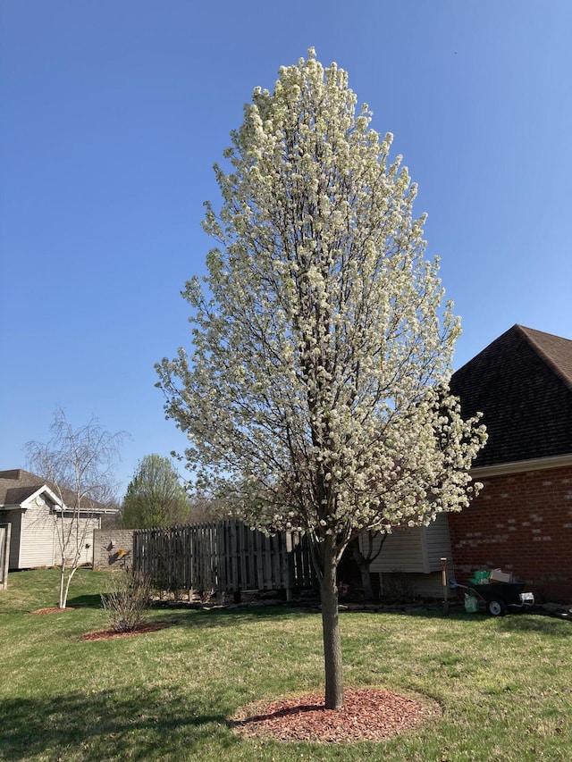 2820 Waters Edge Blvd, Joplin, MO 64801 - view of yard