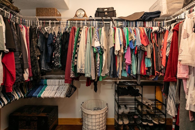 217 Victory Ln, Niangua, MO 65713 - view of spacious closet