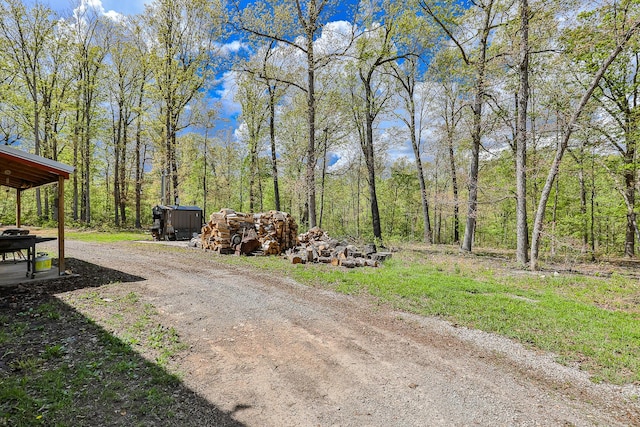 217 Victory Ln, Niangua, MO 65713 - view of yard with driveway