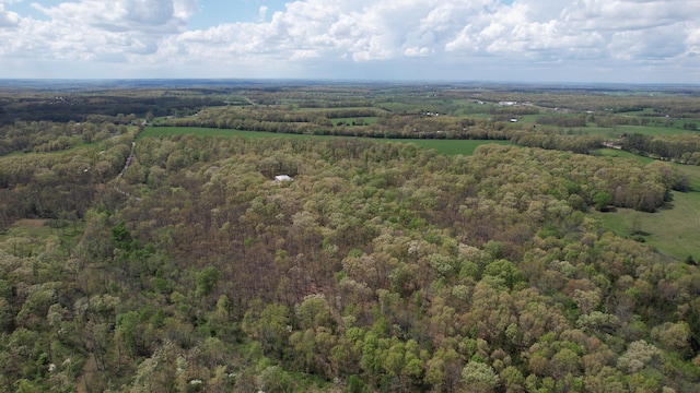 217 Victory Ln, Niangua, MO 65713 - aerial view of a forest