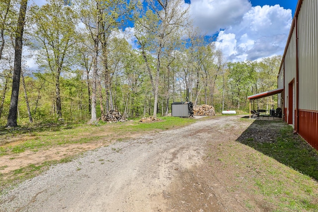 217 Victory Ln, Niangua, MO 65713 - view of dirt / gravel driveway