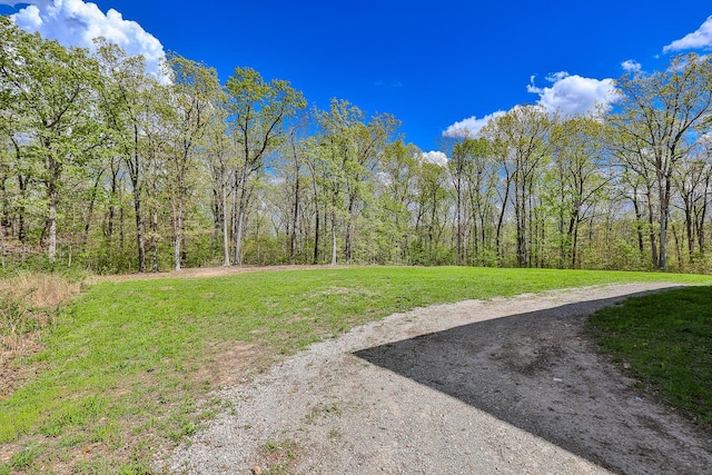 217 Victory Ln, Niangua, MO 65713 - view of green lawn featuring a view of trees