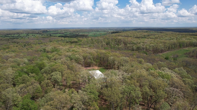217 Victory Ln, Niangua, MO 65713 - view of property location with a heavily wooded area