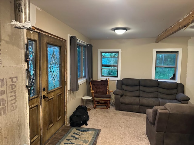 1832 County Road 2030, Mountain View, MO 65548 - living room featuring carpet and beamed ceiling