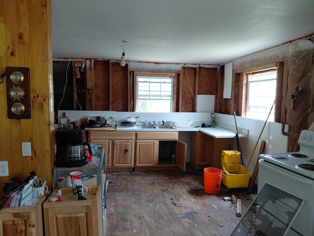 605 N Marr St, Mountain View, MO 65548 - kitchen featuring white electric range oven, plenty of natural light, light countertops, a sink, and wooden walls