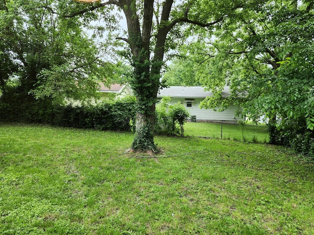 313 N Mill St, Marshfield, MO 65706 - view of yard