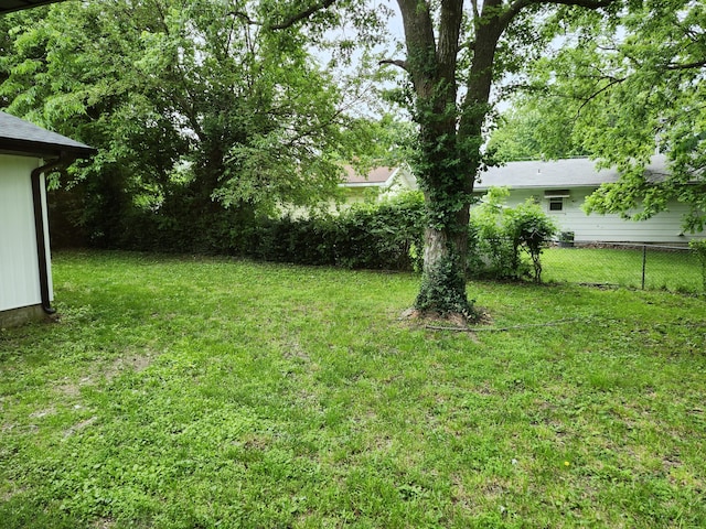 313 N Mill St, Marshfield, MO 65706 - view of yard