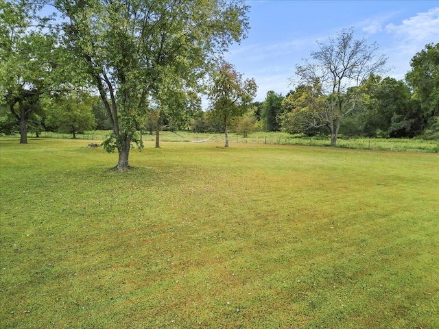 8495 Hwy N, Mountain Grove, MO 65711 - view of green lawn