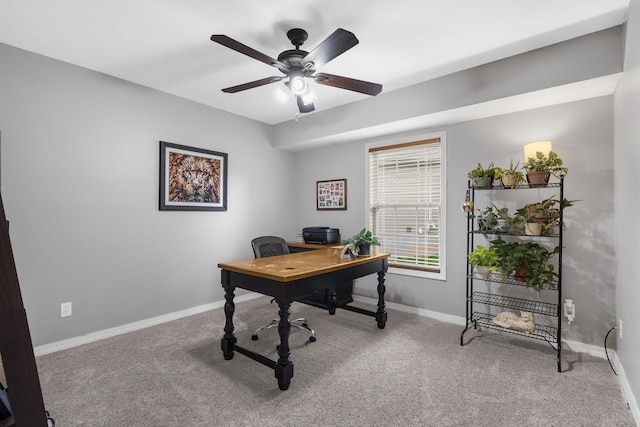 734 N Allison St, Nixa, MO 65714 - carpeted office featuring ceiling fan and baseboards