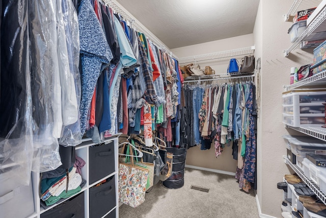 734 N Allison St, Nixa, MO 65714 - walk in closet featuring carpet floors