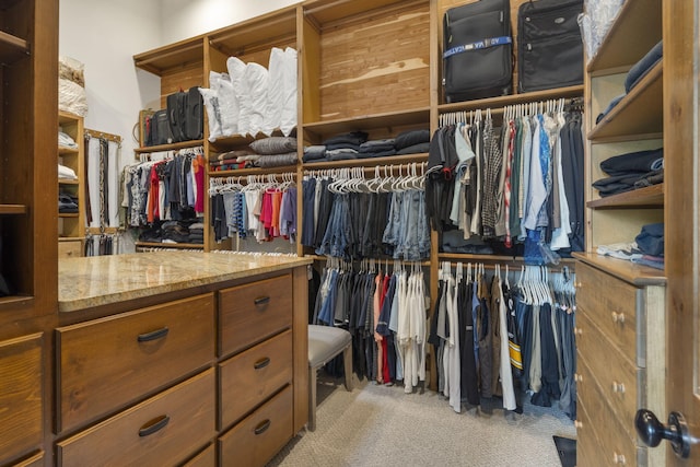 1007 Headwaters Dr, Marshfield, MO 65706 - spacious closet with carpet flooring