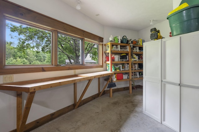 1007 Headwaters Dr, Marshfield, MO 65706 - view of storage room