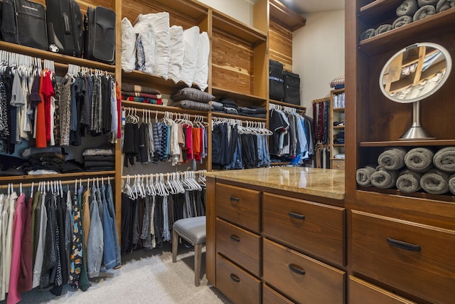 1007 Headwaters Dr, Marshfield, MO 65706 - walk in closet with light colored carpet