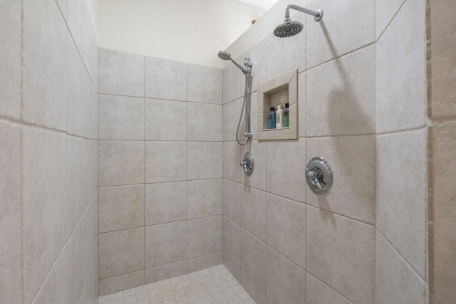 1007 Headwaters Dr, Marshfield, MO 65706 - bathroom with tiled shower