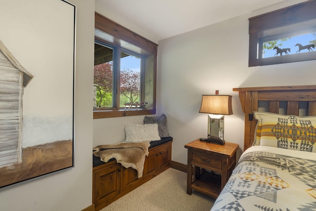 1007 Headwaters Dr, Marshfield, MO 65706 - bedroom featuring baseboards and carpet floors