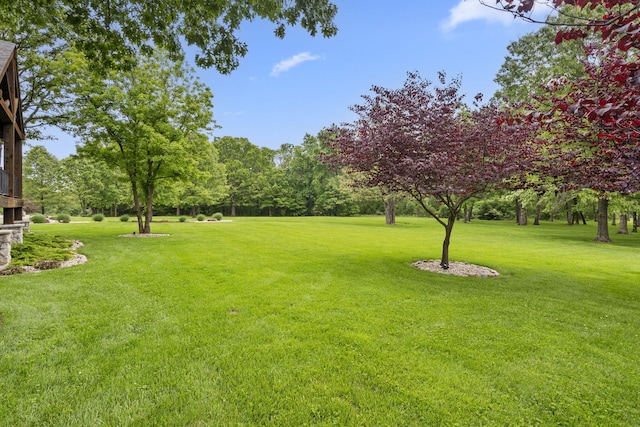 1007 Headwaters Dr, Marshfield, MO 65706 - view of green lawn with view of wooded area
