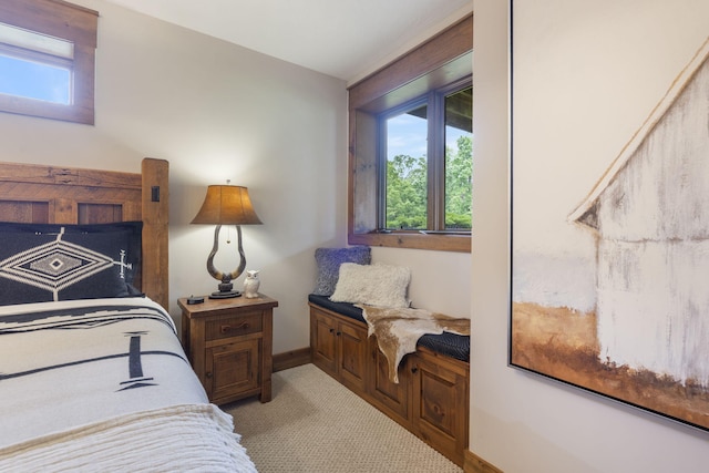 1007 Headwaters Dr, Marshfield, MO 65706 - bedroom with baseboards and light colored carpet