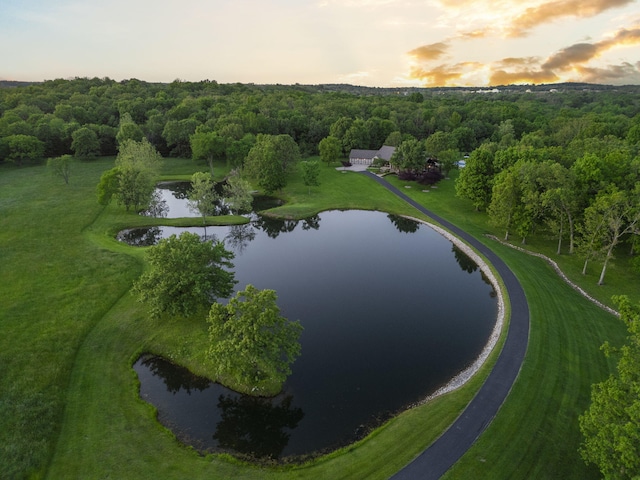 1007 Headwaters Dr, Marshfield, MO 65706 - aerial view at dusk of a water view and a wooded view