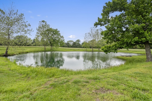1007 Headwaters Dr, Marshfield, MO 65706 - water view