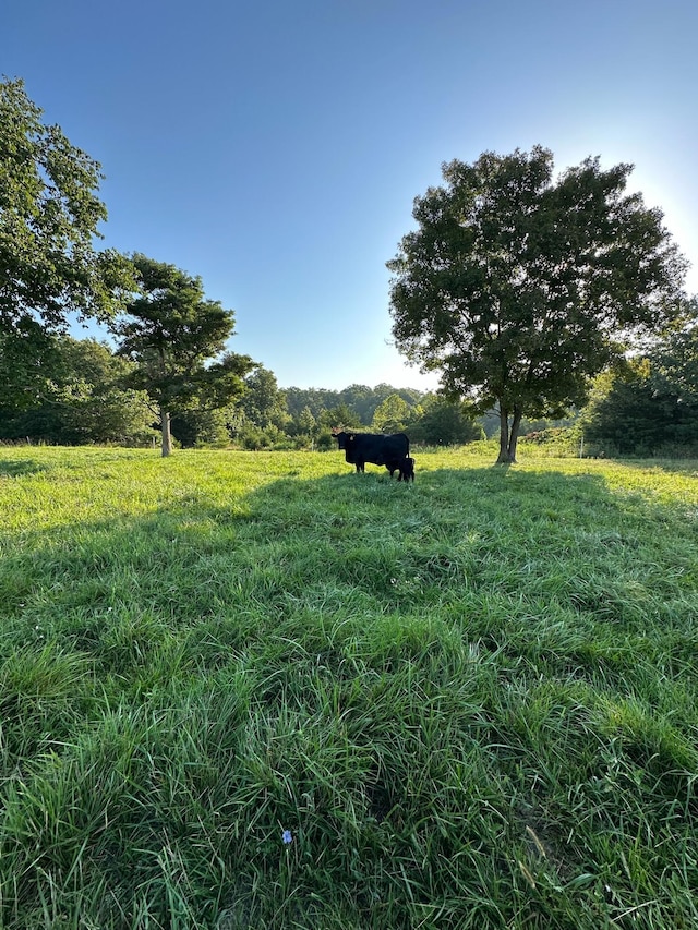 1007 Headwaters Dr, Marshfield, MO 65706 - view of yard with a view of rural / pastoral area