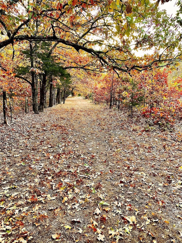 1007 Headwaters Dr, Marshfield, MO 65706 - view of road