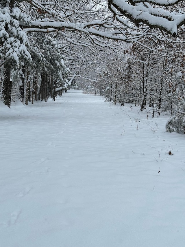 1007 Headwaters Dr, Marshfield, MO 65706 - view of snowy yard