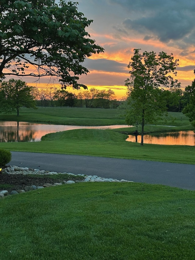 1007 Headwaters Dr, Marshfield, MO 65706 - view of home's community with a water view and a lawn