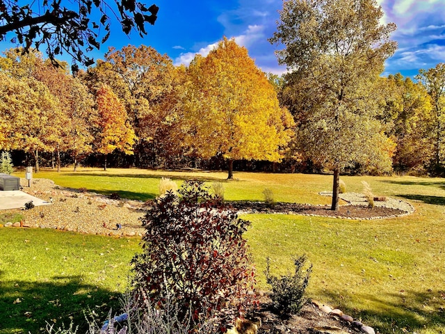1007 Headwaters Dr, Marshfield, MO 65706 - view of home's community featuring a yard