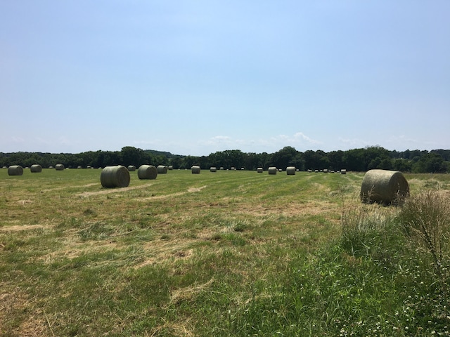 1007 Headwaters Dr, Marshfield, MO 65706 - view of nature with rural landscape