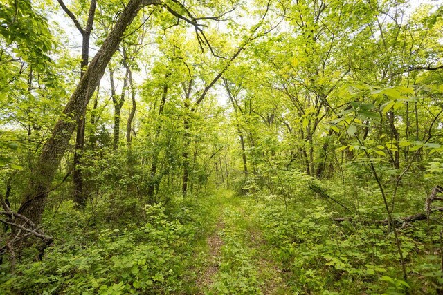 000 Anderson Rd, Richland, MO 65556