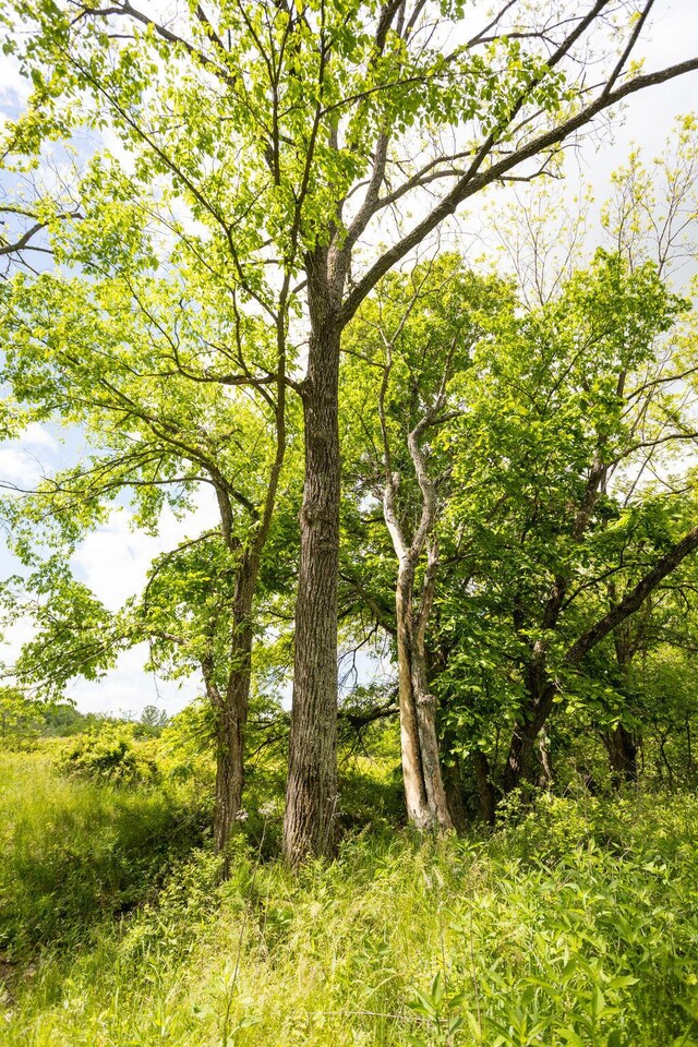000 Anderson Rd, Richland, MO 65556