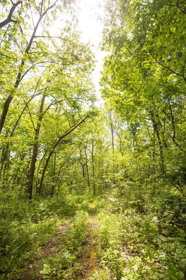 000 Anderson Rd, Richland, MO 65556