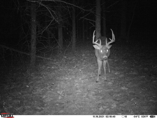 000 Anderson Rd, Richland, MO 65556