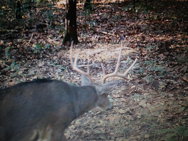 000 Anderson Rd, Richland, MO 65556