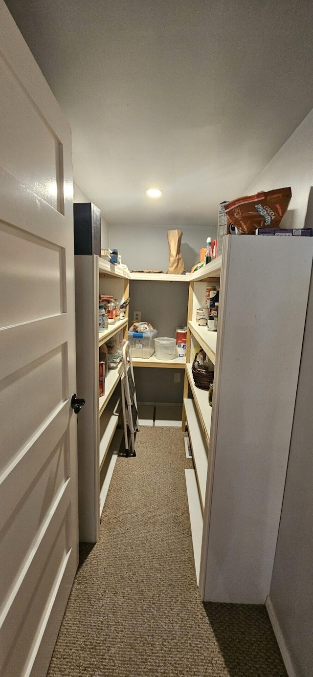 182 Cathy St, Branson, MO 65616 - view of pantry