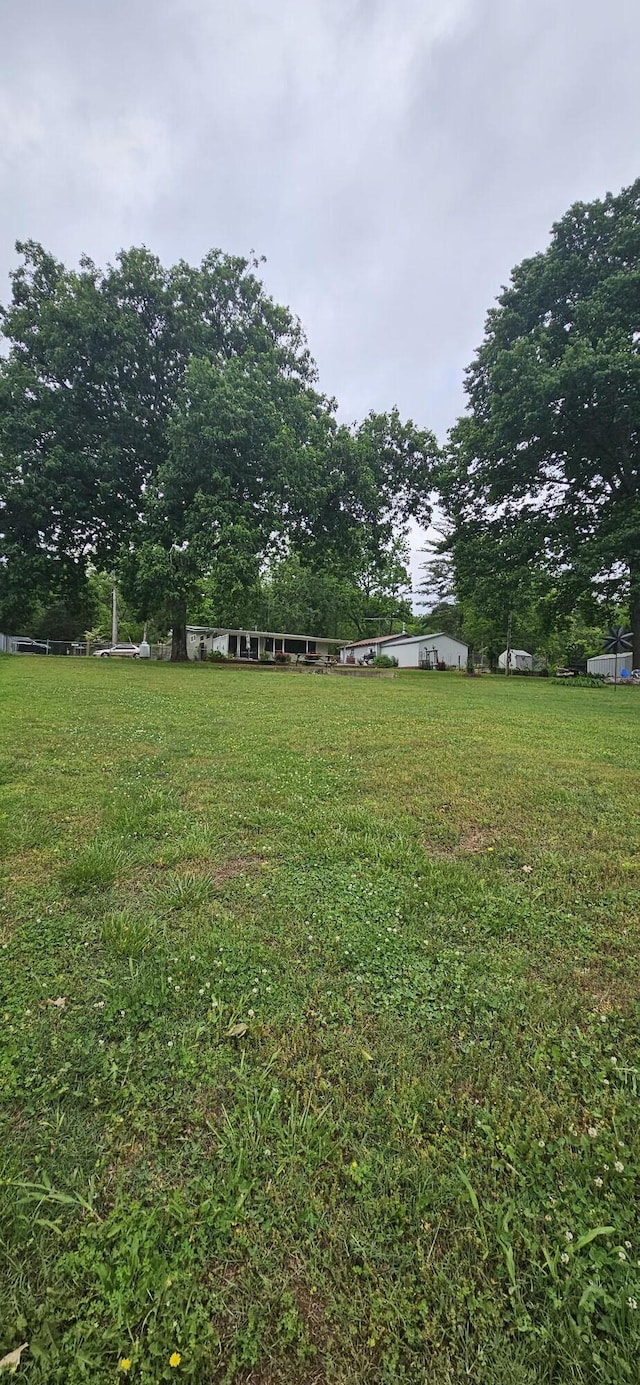 182 Cathy St, Branson, MO 65616 - view of green lawn with view of wooded area