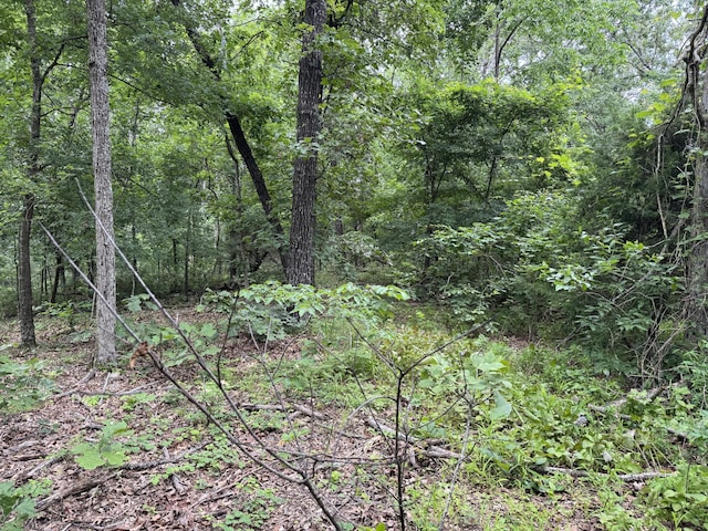 Listing photo 8 - caption unavailable
