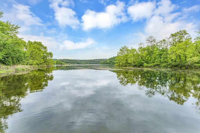1161 State Highway 176, Rockaway Beach, MO 65740 - water view with a forest