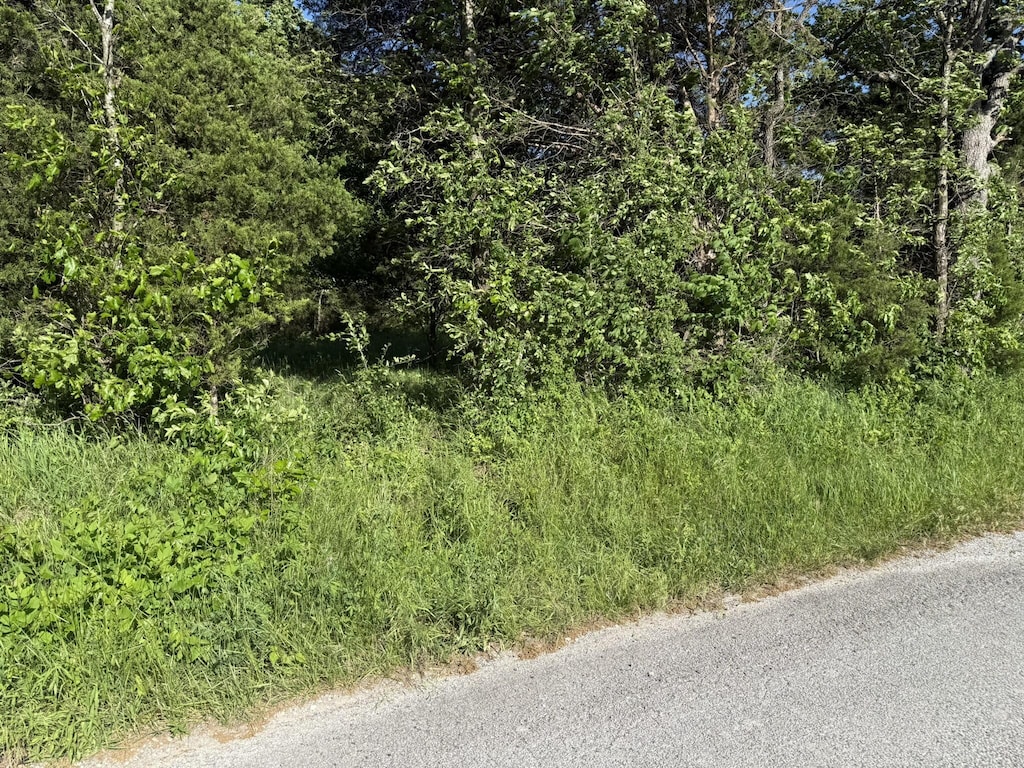 000 225th Rd, Halfway, MO 65663