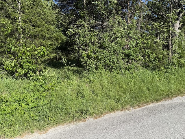 000 225th Rd, Halfway, MO 65663