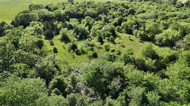 000 225th Rd, Halfway, MO 65663