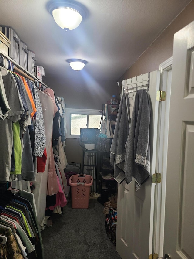 511 3rd St, Mccune, MO 66753 - spacious closet featuring carpet floors and vaulted ceiling