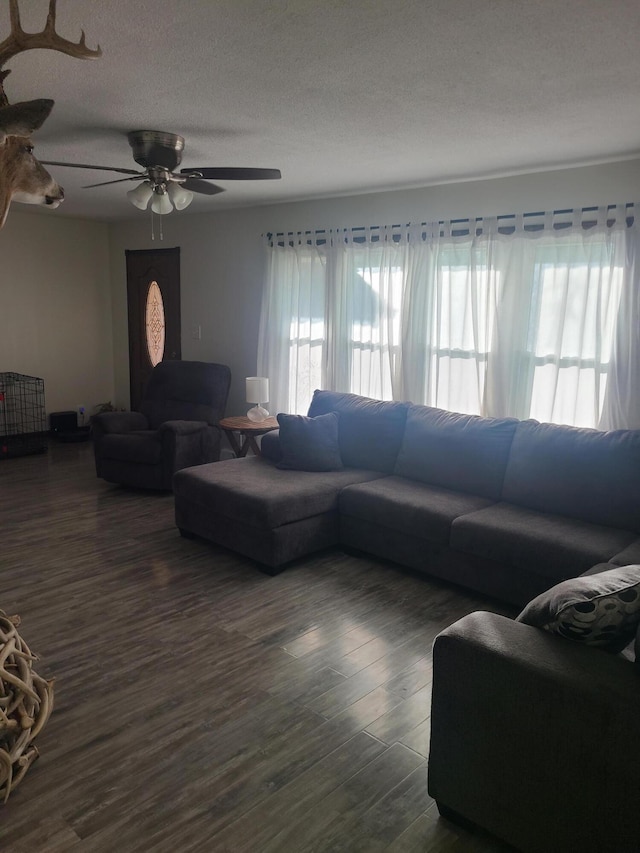 511 3rd St, Mccune, MO 66753 - living area featuring dark wood finished floors and a ceiling fan