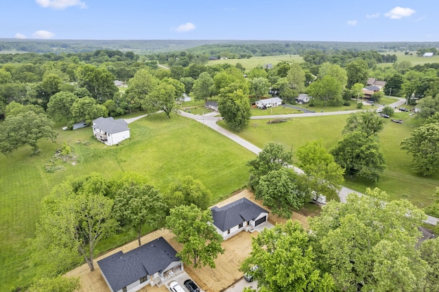 806 Iris Ave, Crane, MO 65633 - bird's eye view