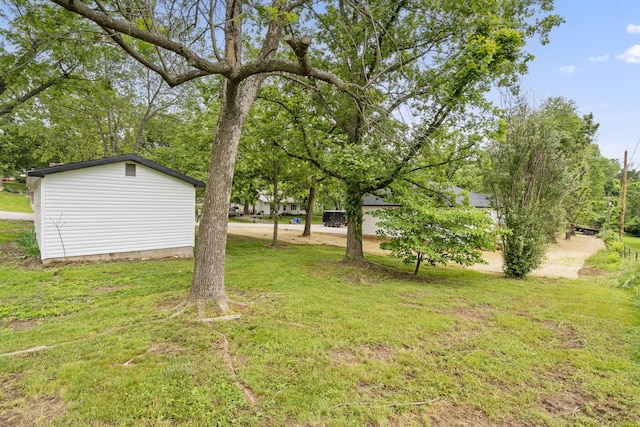 806 Iris Ave, Crane, MO 65633 - view of green lawn